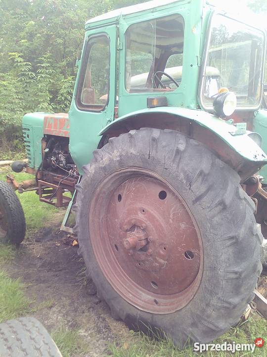 Ciągnik MTZ50 MTZ wielkopolskie Trzcianka