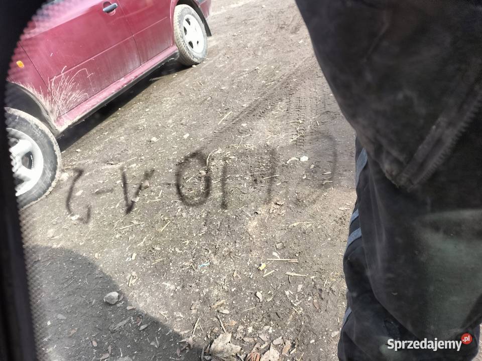 RENAULT CLIO 2 SZYBA PRZÓD PRZEDNIA CZOŁOWA osobowe Kamień-Kolonia sprzedam