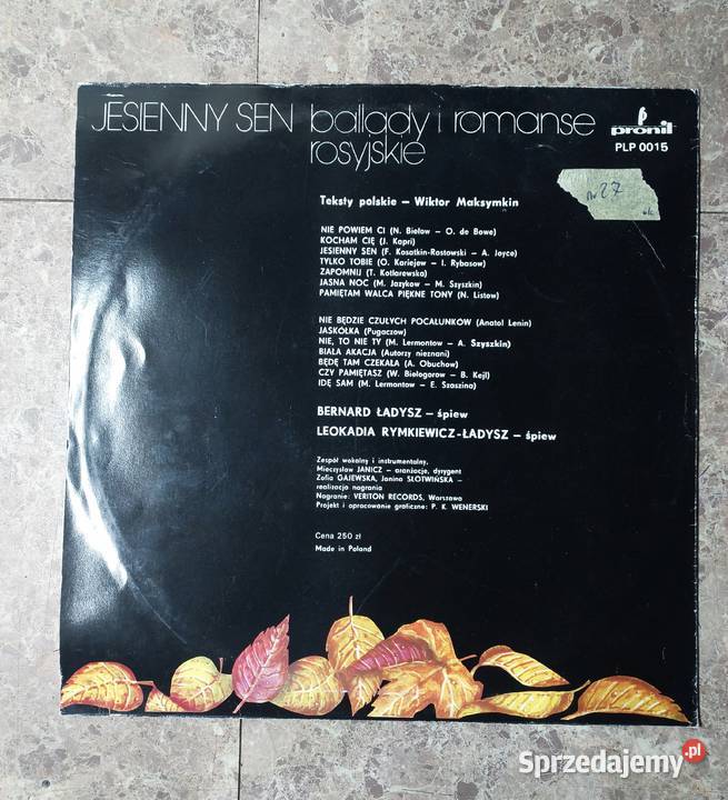27 28 2x Płyta winylowa Jesienny Sen i Russian Płyty i kasety Tczew sprzedam