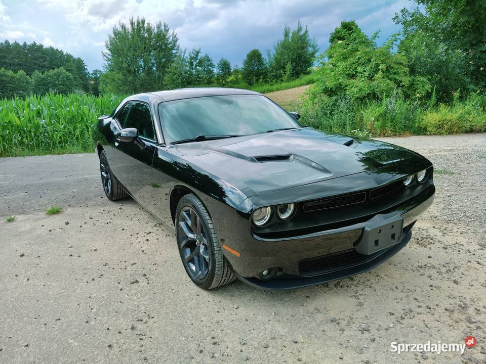 Dodge Challenger SXT PLUS 36 V6 BLACK TOP 2019r światła przeciwmgielne Challenger Lublin