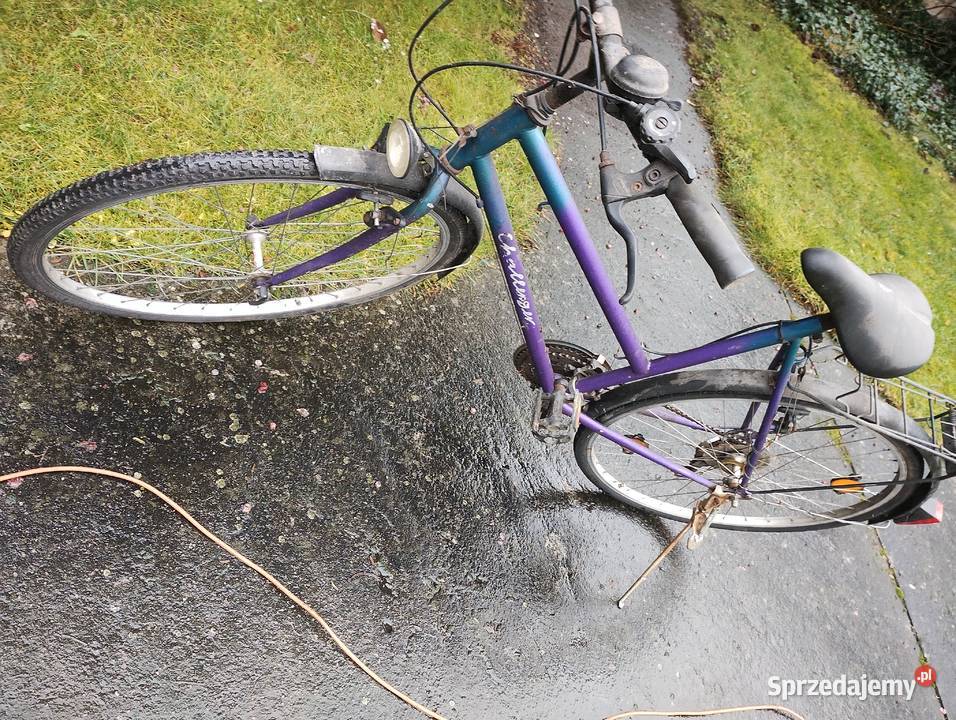 rower damka 28 Pozostałe Grzegorzew