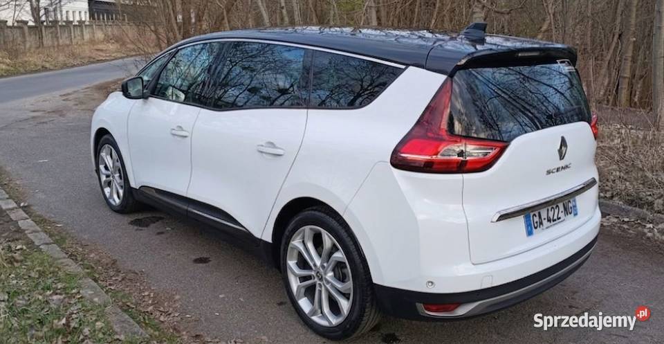 RENAULT GRAND SCENIC Byków