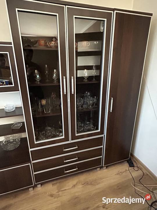 Komplet mebli do salonu Bełchatów