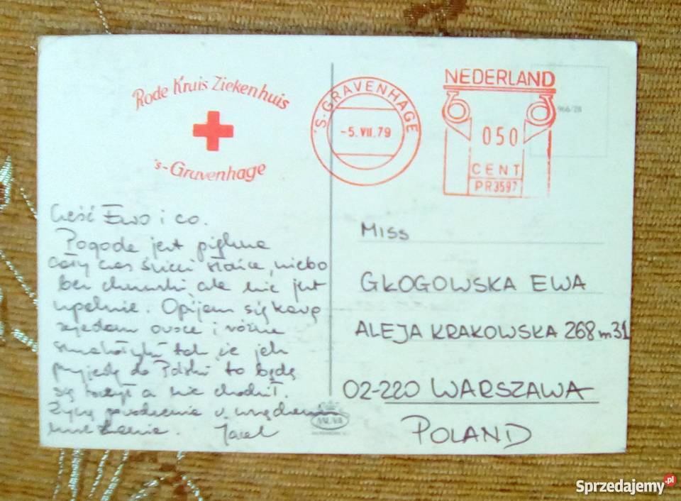 HAGA MIASTO M PÓŁNOCNYM SIEDZIBA RODZINY Piszczac