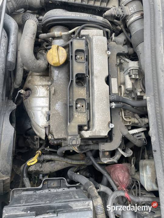 Silnik Opel z18XE świętokrzyskie Nowa Słupia