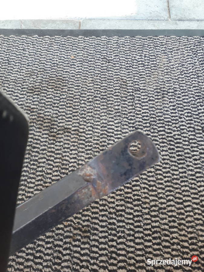 Stopki centralne komar sztywniak komar podkarpackie