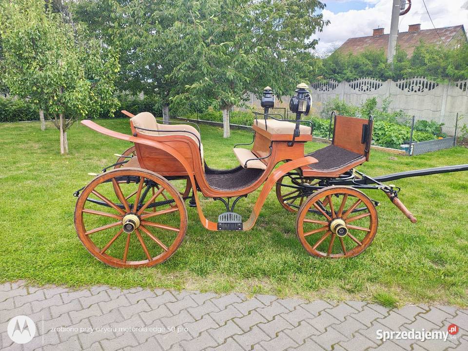 Bryczka konna koń powóz kareta Dla koni Goszczanów sprzedam