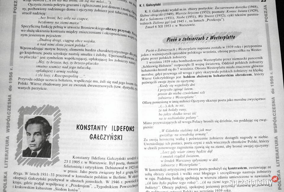 Opracowania lektury i wiersze 7a Polska Chełm