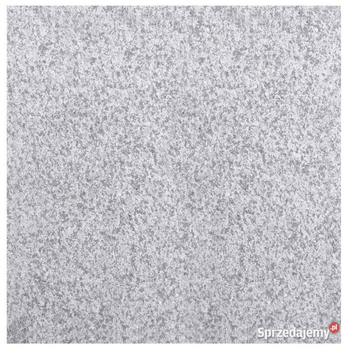 Płytki Granit G603 Bianco Cristal płomieniowany Gdynia