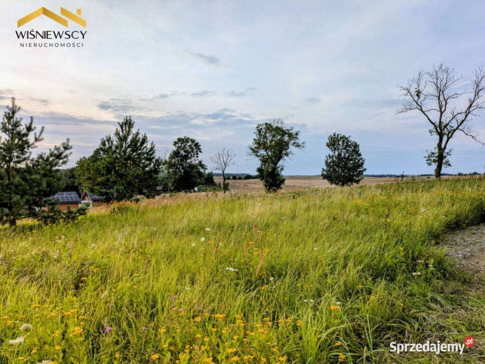 Działka rekreacyjna z widokiem na Jezioro Orkusz Sprzedaż Sypanica sprzedam