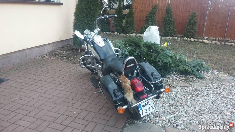 Sprzedam chopper Jinlun 1505 mazowieckie Mława