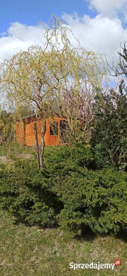 Piękna działka ROD Janikowo