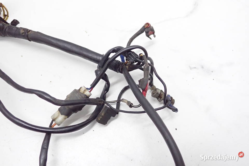 Instalacja Wiązka Elektryczna Czujnik Strzelce Krajeńskie