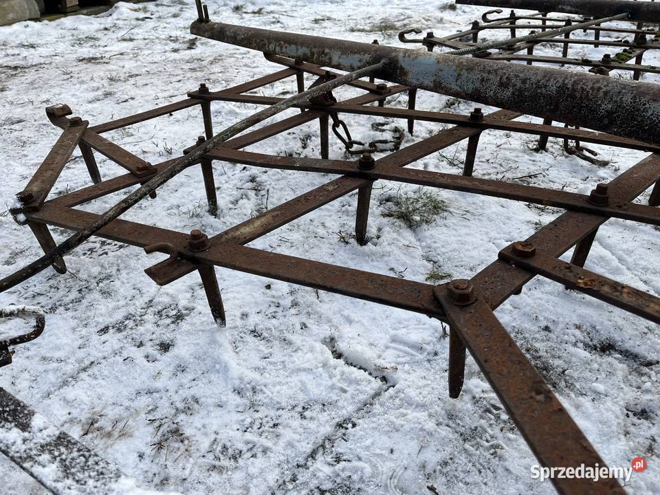 Brony 5 wielkopolskie Ślesin