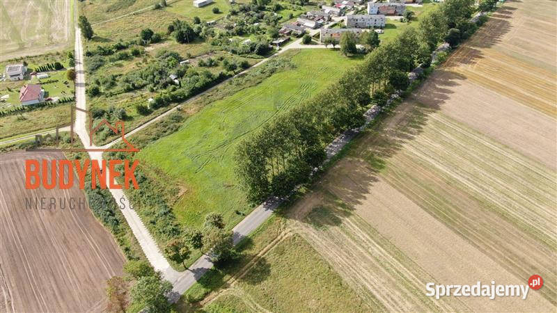 Działka przemysłowa Cisowo 186zł/m2 Sprzedaż