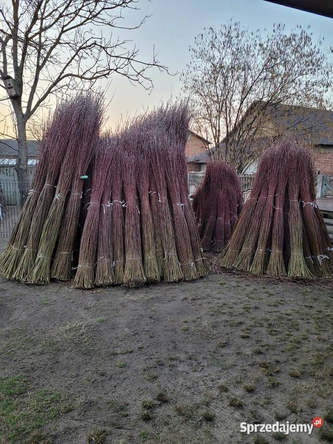 Wiklina sortowana Kopki