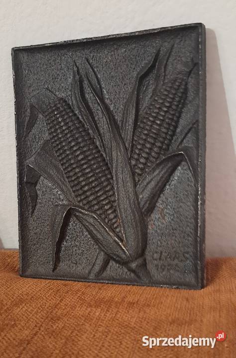 płytki żeliwne do powieszenia na ścianie 5 sztuk Warszawa