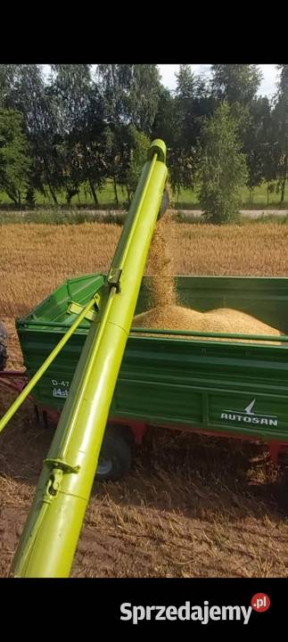 Claas Dominator 56 Butrymowce