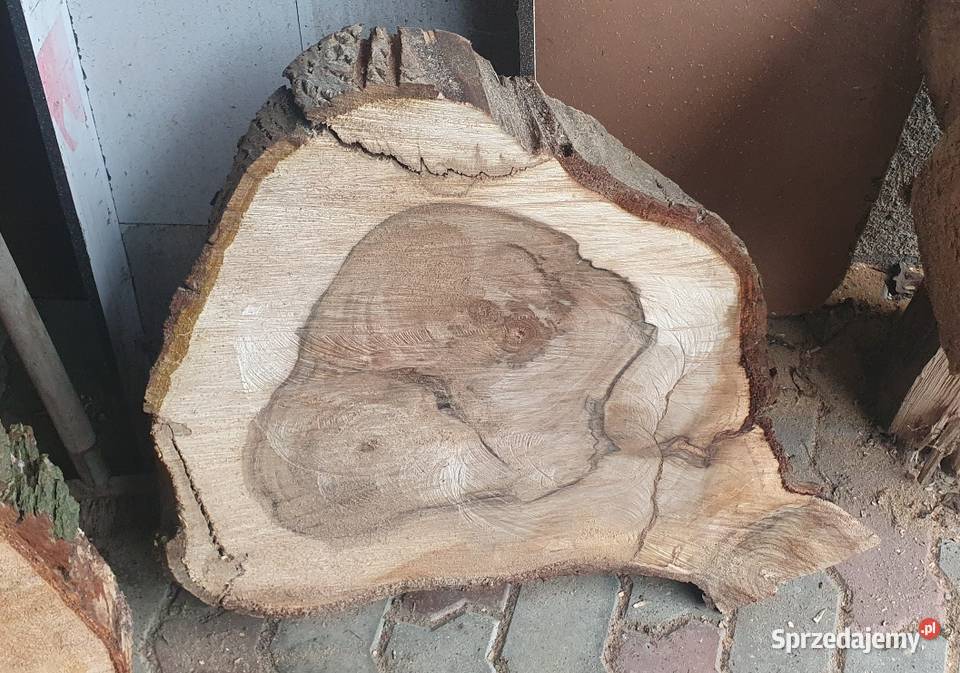 Plastry drzewa olcha Pakość