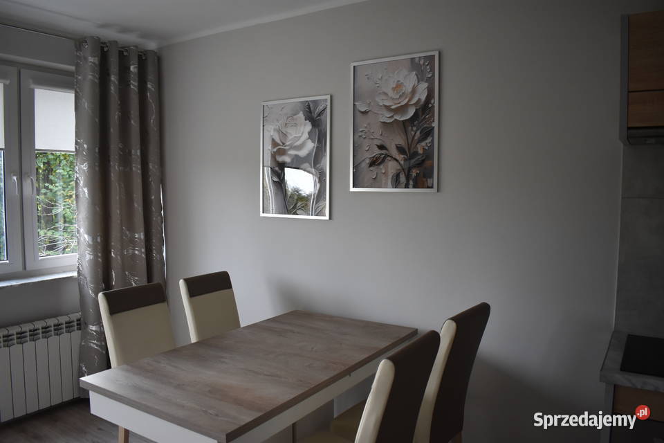 Wynajmę mieszkanie Zduńska Wola