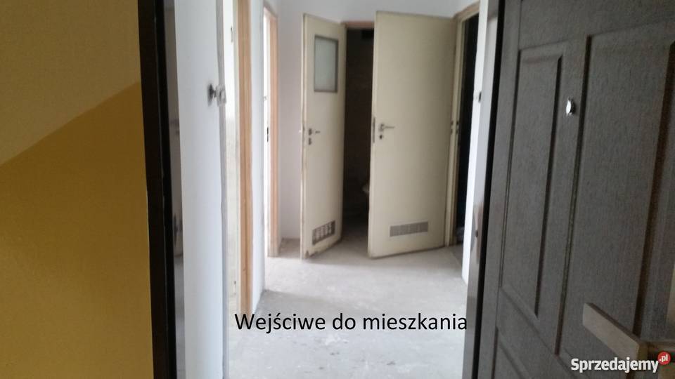 Mieszkanie 4818m2 w Ozorkowie Do Negocjacji Ozorków