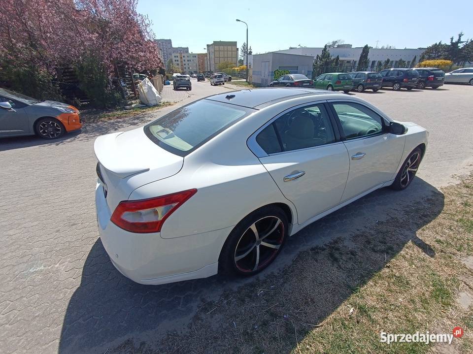 Nissan Maxima A35 wygodna limuzyna biała Bydgoszcz