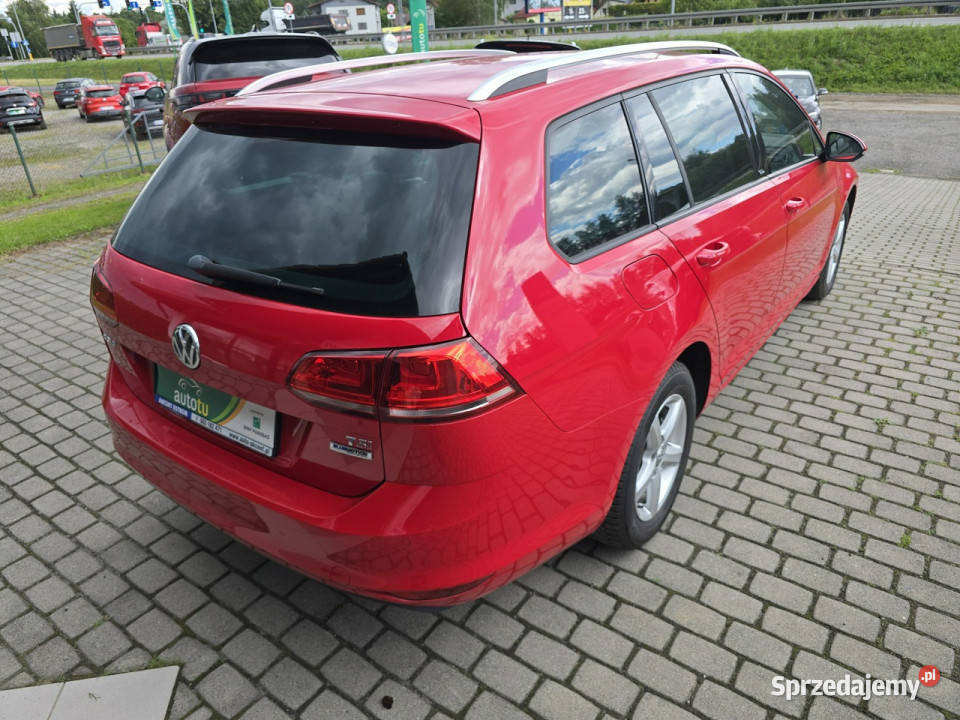 Volkswagen Golf Variant 14 TSI Allstar pełny manualna Ustroń