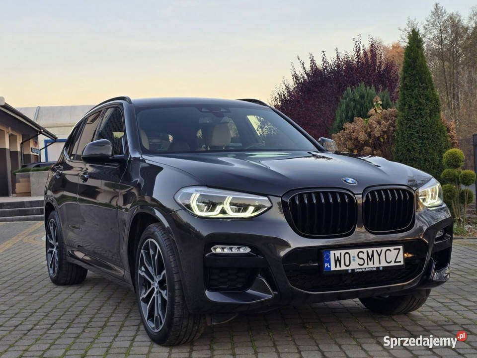 BMW X3 xDrive25d M Sport Salon Iwłaściciel kamera cofania kujawsko-pomorskie Skępe