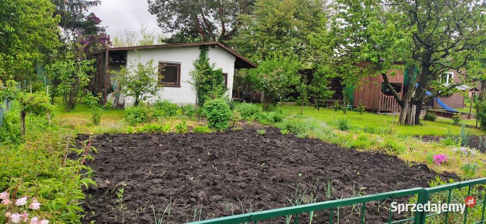 Sprzedam działkę rekreacyjną ROD Maciejka Wrocław