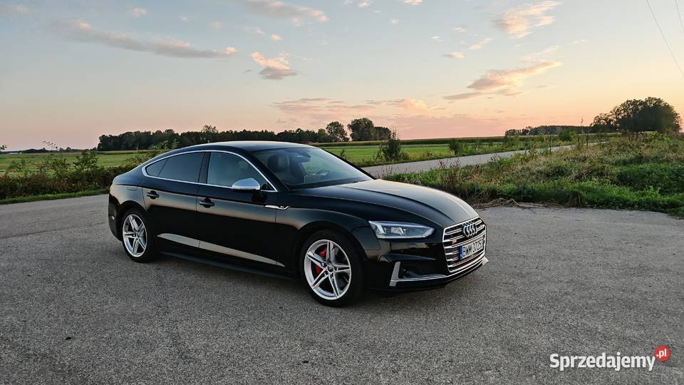 2019 Audi S5 Prestige elektrycznie ustawiane fotele Czyżew