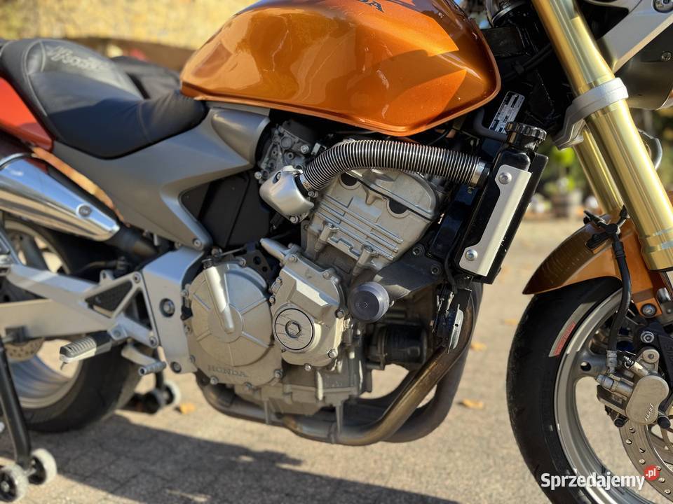 Honda Hornet 600 PC36 2005r Brzesko