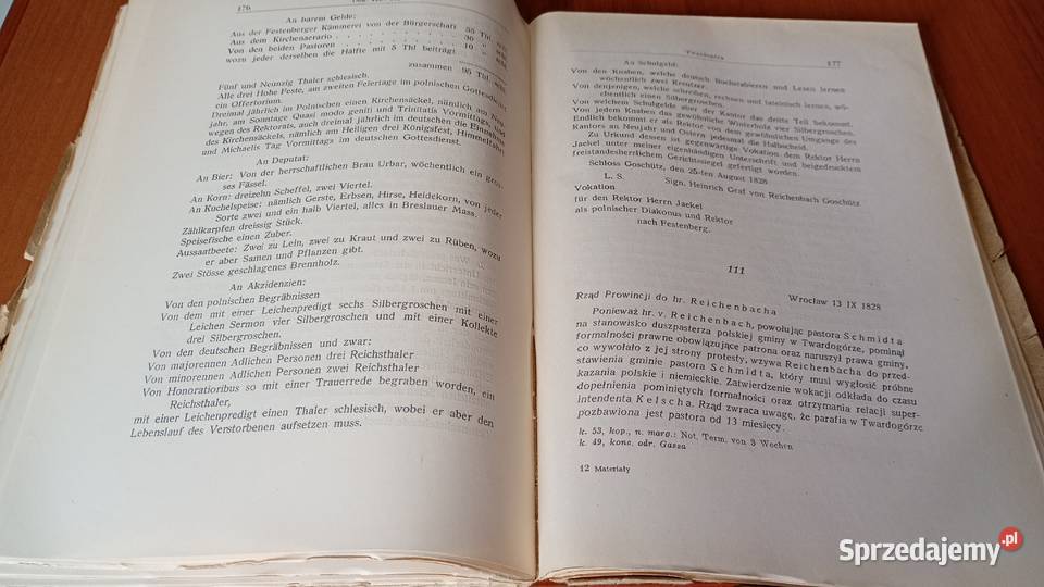 Polacy ewangelicy na Dolnym Śląsku w XIX w i ich