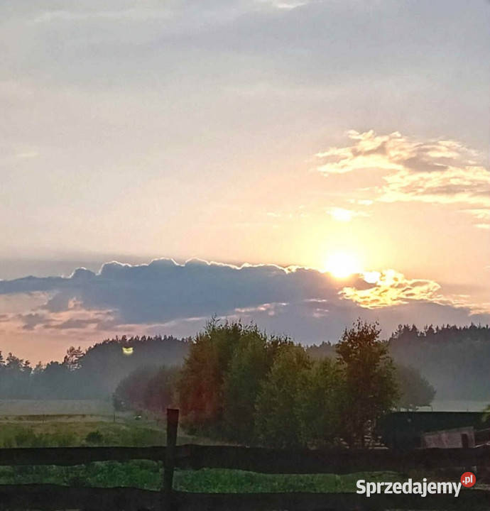 Sprzedam działkę budowlaną Oleśnik sprzedam