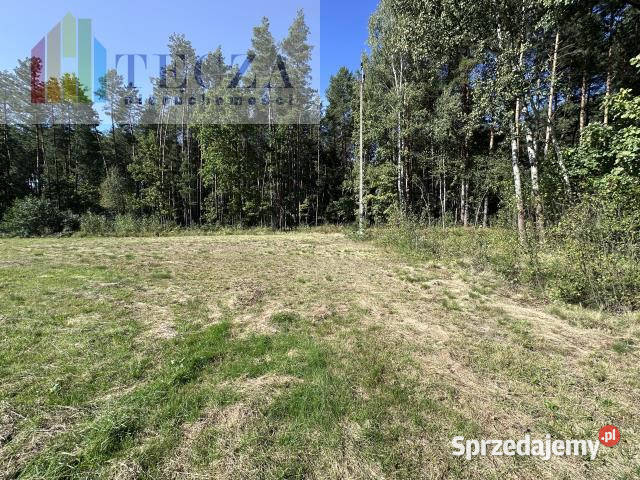 Grunt 1800m2 Borucza sprzedam