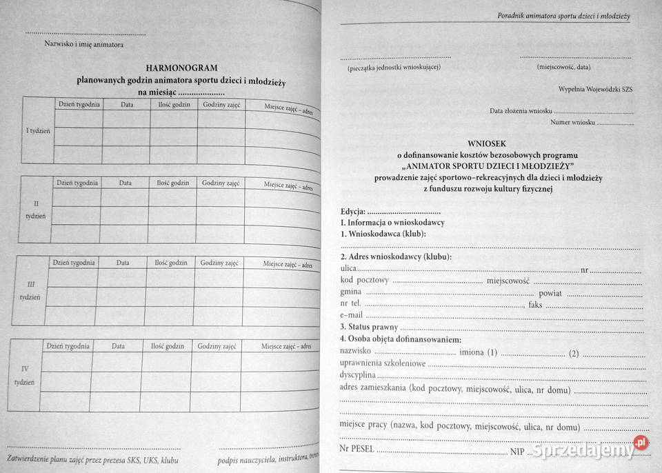 Poradnik animatora sportu dzieci i młodzieży Rok wydania 2010 Chełm sprzedam