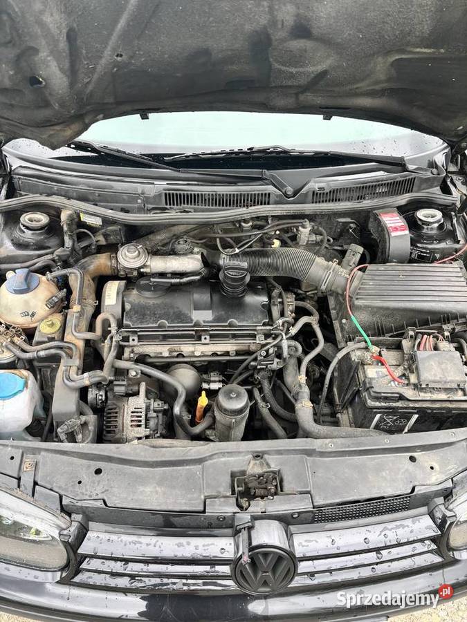 Golf 4 Rok produkcji 2001 śląskie Rybnik