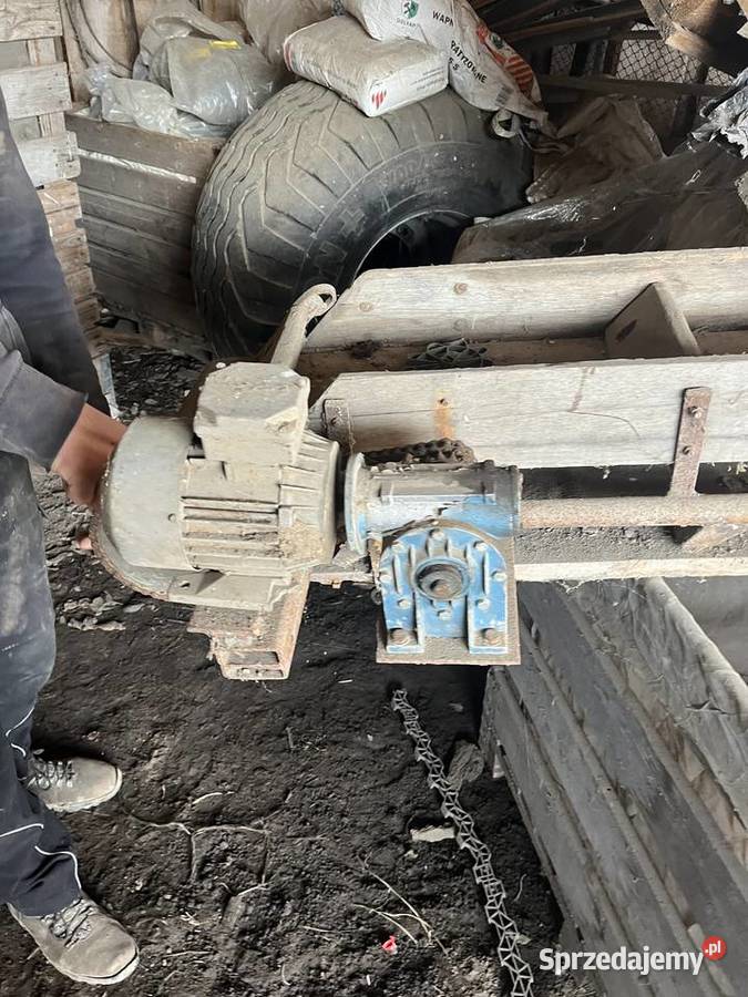 podajnik taśmowy taśmociąg przenosnik tasmowy Majaczewice