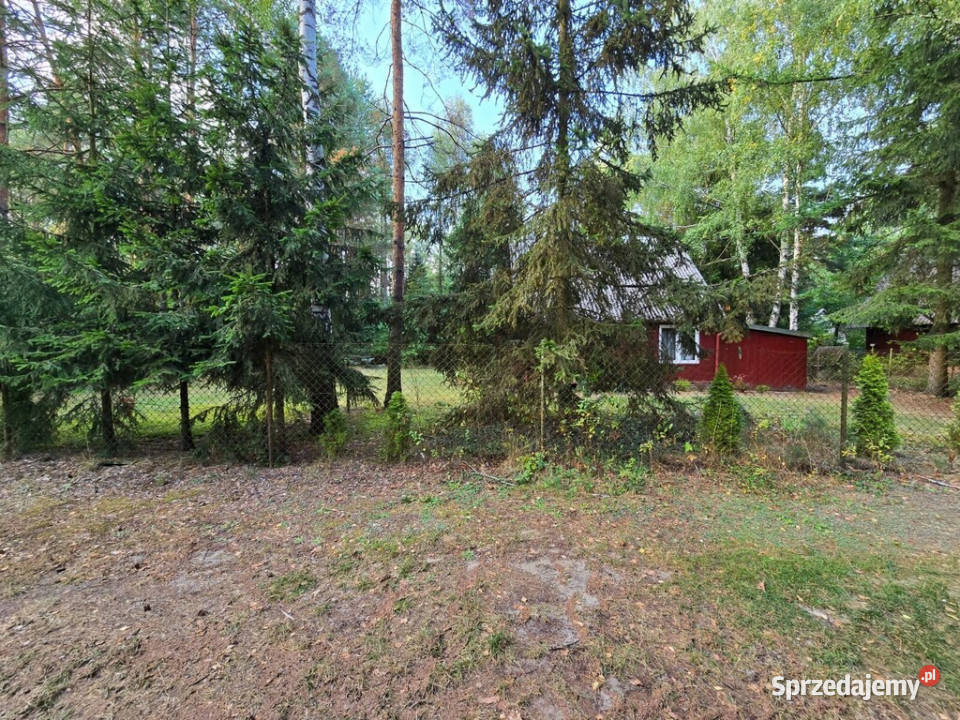 Na sprzedaż dom w Kunowie 3 Firleja lubelskie Kunów sprzedam