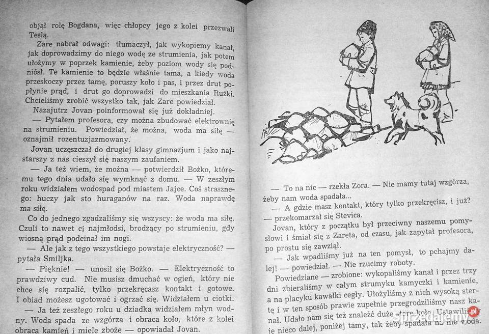 Żegnaj wielka tajemnico Mira Aleckovic Chełm