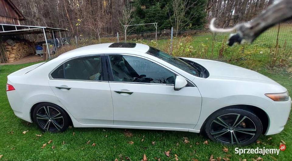 Honda accord VII stan Zadbany Accord Krosno