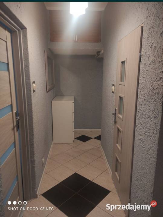 Sprzedam Mieszkanie 5133m2 dwu pokojowe Goleniów