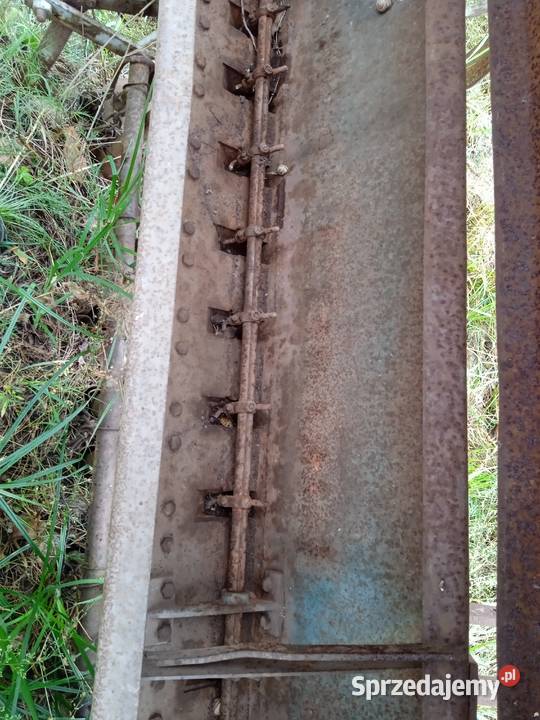 Jakiś siewnik Niewierz