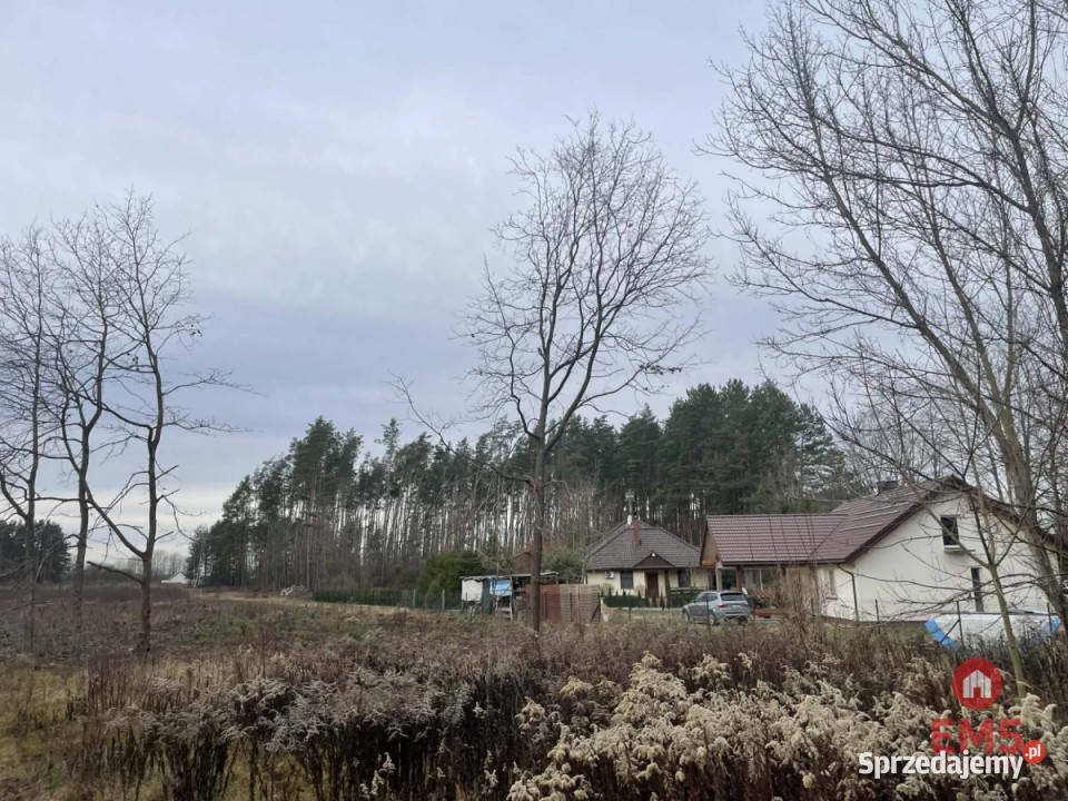 Działka 6000m2 Skrybicze 120m