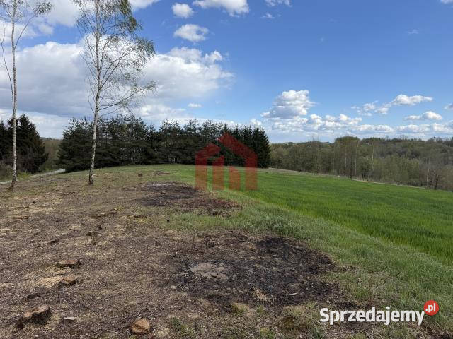 Działka 600m2 Zagórze Sprzedaż