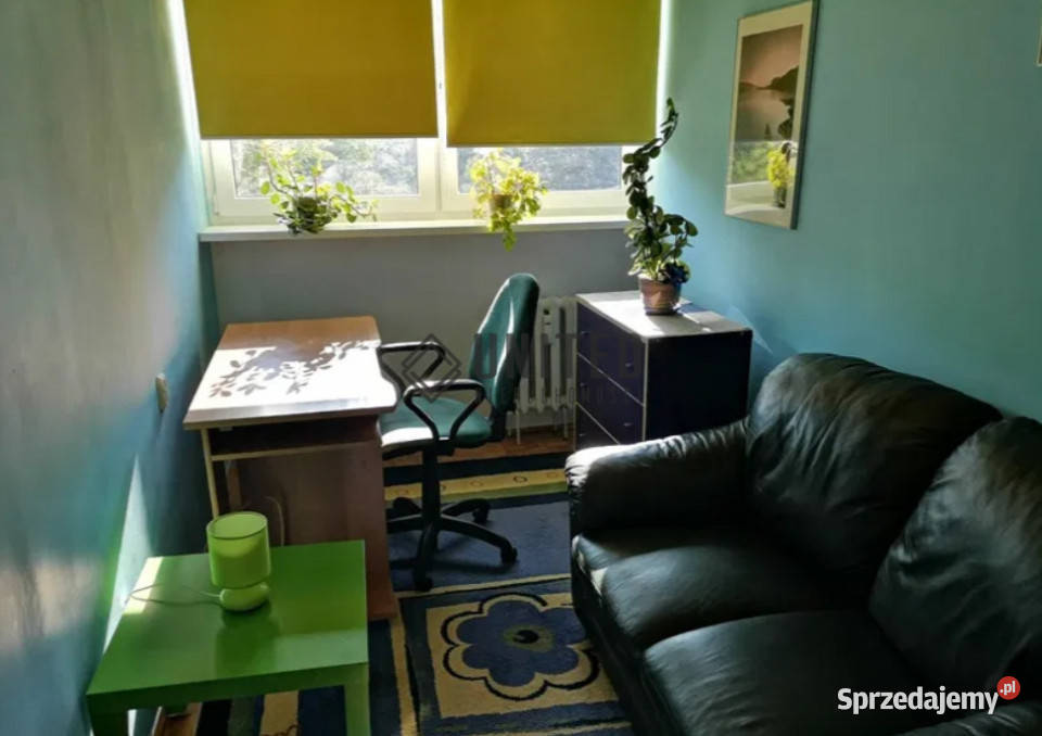 Gwiaździstej sieć Wrocław sprzedam