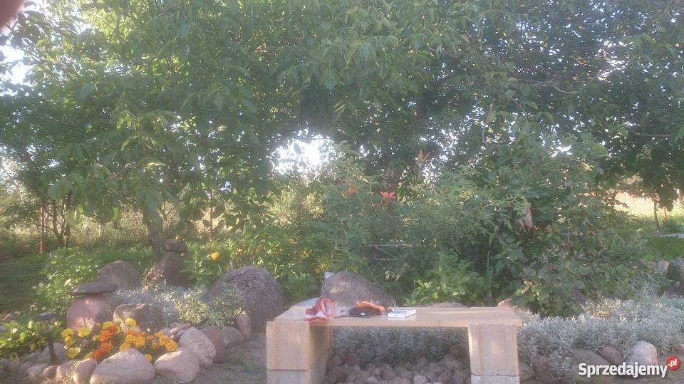 DOM SIEDLISKO powiat MLAWA mieszkalny Nieruchomości Liberadz sprzedam