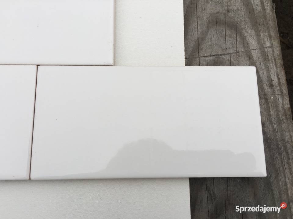 Glazura płytka ścienna evolution blanco brillo