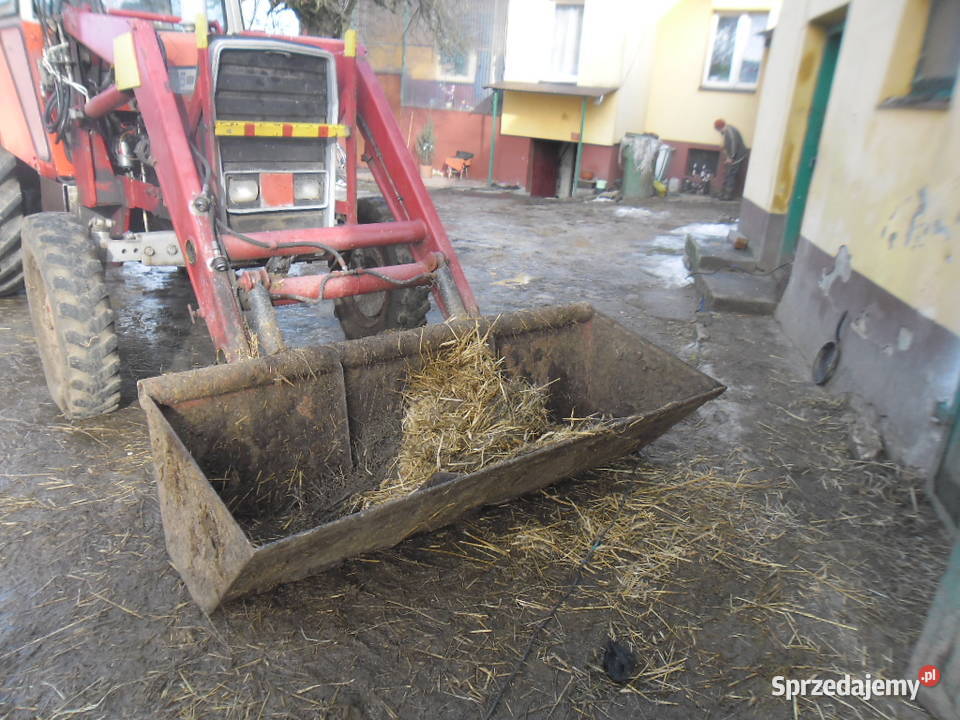 Ciągnik rolniczy MF 595 Pierzchnica