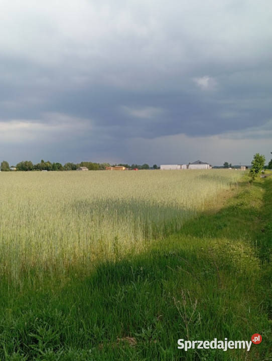 Sprzedam działkę budowlaną 1760m Kownaty gm Sprzedaż