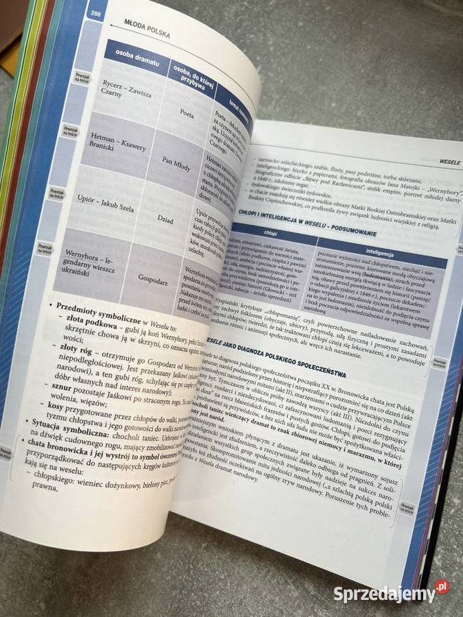 Matura Język Polski Vademecum Greg Jasło